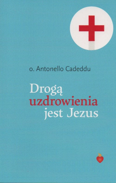 Drogą uzdrowienia jest Jezus - o. Antonello Cadeddu